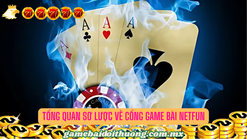 Một số thông tin cơ bản về cổng game bài Netfun